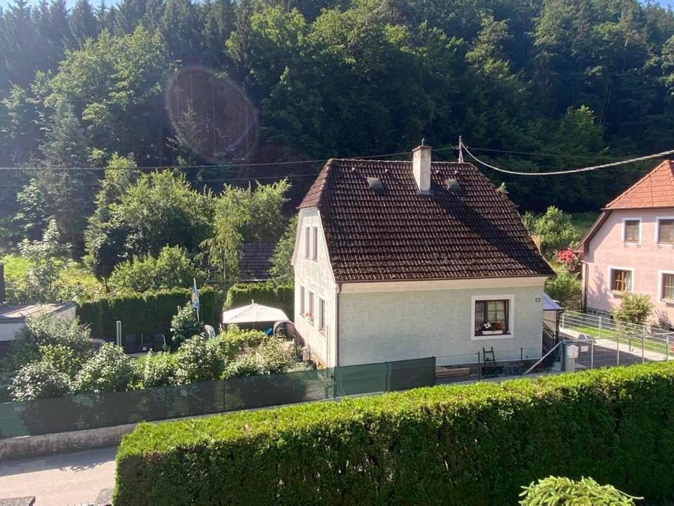 Zu Hause Am Bach Homestay