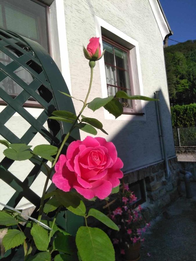 Zu Hause Am Bach *